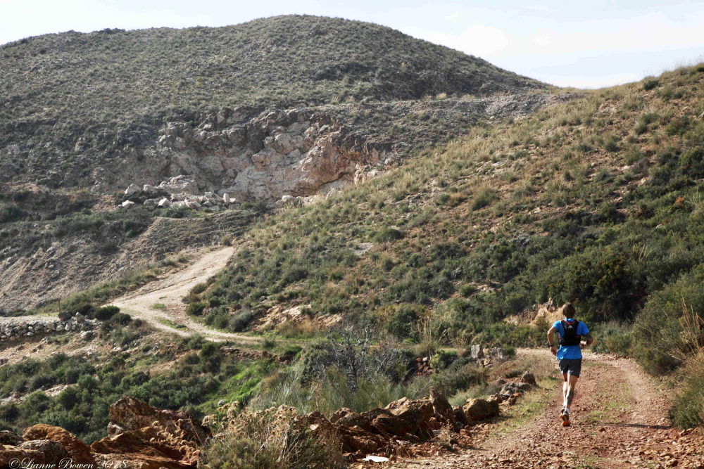 Wild Thyme Trail Running